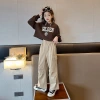 Girls' hooded sweatshirt and work pants set, children's fashionable spring and autumn Internet celebrity casual loose sports two-piece set, cross-border details Picture